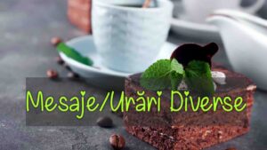 Mesaje/Urări Diverse